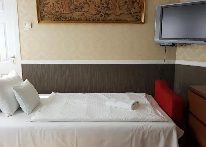 Kitti Panzio Gazde/Camere de închiriat *