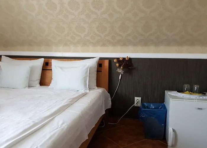 Kitti Panzio Gazde/Camere de închiriat